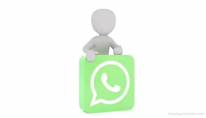 Cara Menyimpan Status WhatsApp