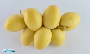 Kandungan Nutrisi Kurma Dan Waktu Terbaik Memakannya
