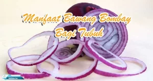 Manfaat Bawang Bombay Bagi Tubuh