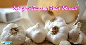 Manfaat Bawang Putih Mentah