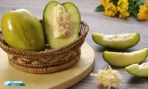 Manfaat Buah Kedondong Untuk Tubuh