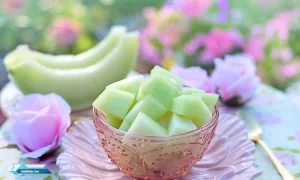 Manfaat Melon Untuk Kesehatan Tubuh