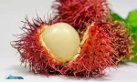 Manfaat Rambutan Untuk Kesehatan