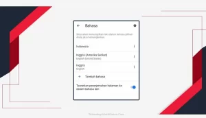 Mematikan Fitur Auto Translate Google Chrome