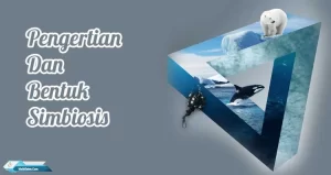 Pengertian Dan Bentuk Simbiosis Beserta Contohnya