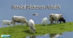 Pengertian Rantai Makanan Dan Jaring - Jaring Makanan