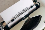 Fungsi Plugin WordPress secara Umum