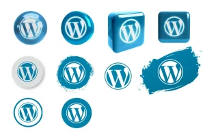 Fungsi Tema Wordpress yang Utama