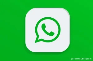 Dimana Kantor Pusat WhatsApp ?