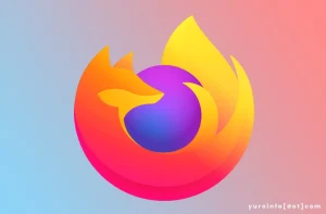 Fungsi Add-on Firefox untuk Kebutuhan Pengguna