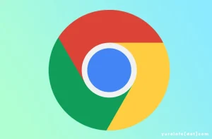 Fungsi Ekstensi Google Chrome, Apa Saja?