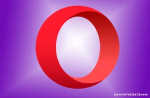 Fungsi Ekstensi Opera untuk Memperluas Fungsionalitas