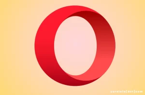 Fungsi Opera dalam Menjelajahi Internet