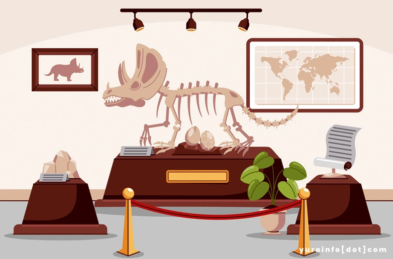Manfaat Wisata ke Museum dalam Aspek Sejarah