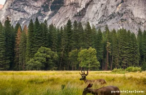 Manfaat Wisata ke Taman Nasional Secara Umum
