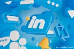 Sejarah LinkedIn, Platform Media Sosial Profesional