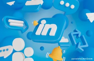 Sejarah LinkedIn, Platform Media Sosial Profesional