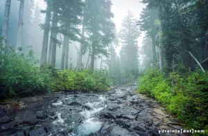 Tips Wisata Ke Taman Nasional