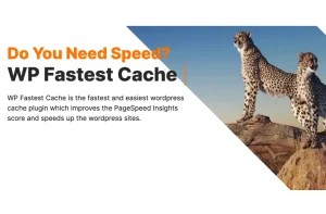 Fitur WP Fastest Cache, Plugin Caching Populer