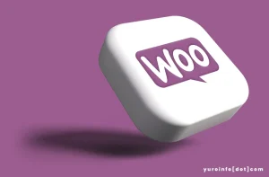 Fitur WooCommerce, Plugin E-Commerce Populer