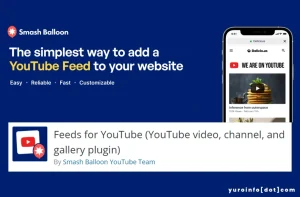 Fungsi Feeds for YouTube, Plugin WordPress