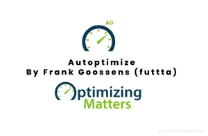 Fungsi Plugin Autoptimize, Tahukah Kamu?