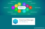 Fungsi Plugin Download Manager dan Kelebihannya