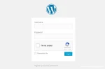 Peran Plugin reCAPTCHA untuk Pengguna WordPress