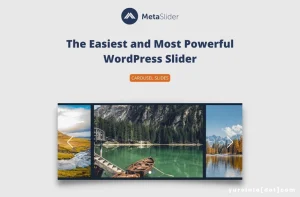Plugin Slider dari MetaSlider, Tahukah Kamu?