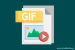 Istilah Dalam GIF yang Sering Digunakan