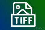 Istilah dalam TIFF (Tagged Image File Format)