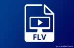 Kekurangan FLV yang Perlu Dipertimbangkan