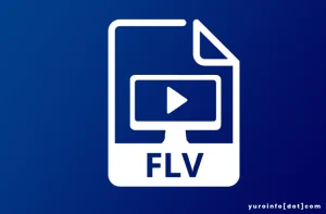 Kekurangan FLV yang Perlu Dipertimbangkan