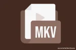 Kekurangan MKV yang Perlu Diperhatikan