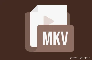 Kekurangan MKV yang Perlu Diperhatikan