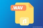 Kekurangan WAV yang Perlu Dipertimbangkan