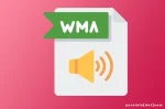 Kekurangan WMA yang Perlu Dipertimbangkan