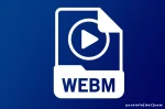 Kekurangan WebM yang Perlu Dipertimbangkan