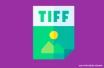 Kelemahan TIFF yang Perlu Dipertimbangkan