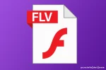 Keunggulan FLV (Flash Video) yang Luar Biasa
