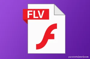 Keunggulan FLV (Flash Video) yang Luar Biasa