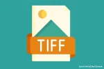 Keunggulan Format Gambar TIFF, Apa Saja?