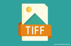 Keunggulan Format Gambar TIFF, Apa Saja?