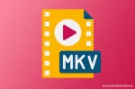 Keunggulan Format Video MKV yang Luar Biasa