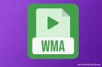 Keunggulan WMA, Format Audio Digital
