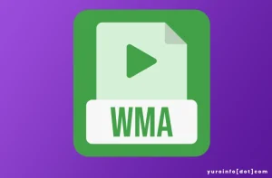 Keunggulan WMA, Format Audio Digital