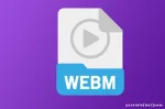Keunggulan WebM Sebagai Format File Video