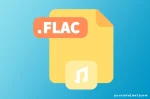Pemanfaatan FLAC di Dunia Audio