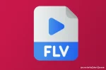 Pemanfaatan FLV di Berbagai Bidang