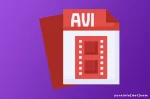 Pemanfaatan Format Video AVI yang Sangat Luas
